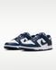 Nike кросівки сині Dunk Low 2578NK-42 фото 1