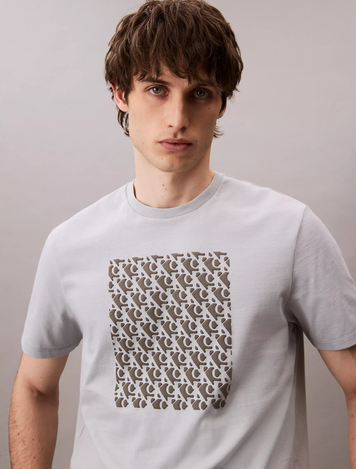 Футболка чоловіча Calvin Klein з принтом по центру сіра 4RC841G фото