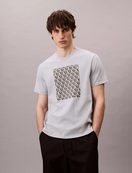 Футболка чоловіча Calvin Klein з принтом по центру сіра 4RC841G фото