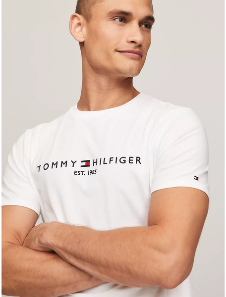 Футболка чоловіча Tommy Hilfiger з написом біла  78J6318-P8F фото